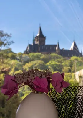Grundriss der Unterkunft Wernigerode - Die bunte Stadt am HARZ