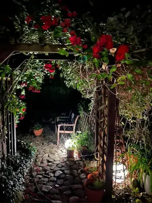Ein Garten an der Unterkunft Reikistudio Venedig