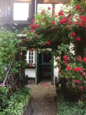 Ein Garten an der Unterkunft Reikistudio Venedig
