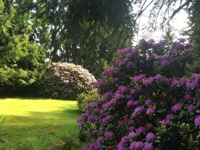 Ein Garten an der Unterkunft Villa Elfenstein
