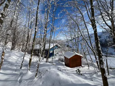 Platell Ferienhausverwaltung Sankt Andreasberg im Winter