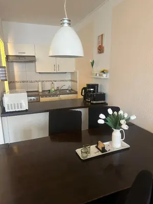 Küche/Küchenzeile in der Unterkunft App 587 mit Schwimmbad und Sauna im Panoramic Hohegeiß Braunlage