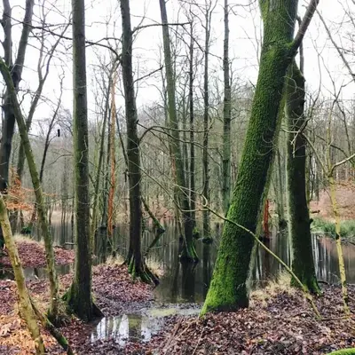 Naturlandschaft in der Nähe der Lodge
