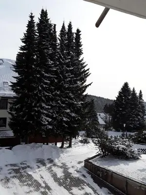 Fewo Ryll im Winter