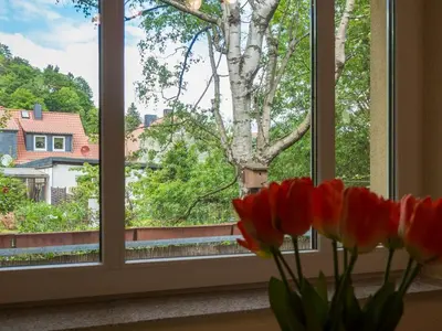 Ein Garten an der Unterkunft Ferienhaus Holtemme in Wernigerode