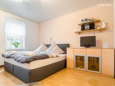TV/Unterhaltungsangebot in der Unterkunft Ruhiges Apartment am Waldrand mit Schlossblick