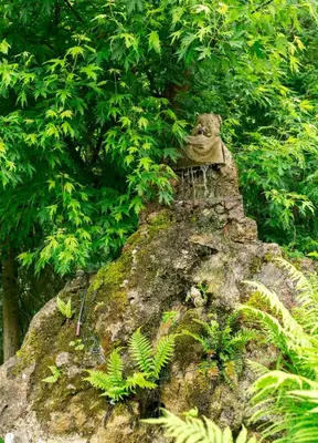 Naturlandschaft in der Nähe der Ferienwohnung