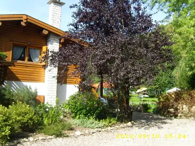 Ein Garten an der Unterkunft Apartments Am Kupferberg