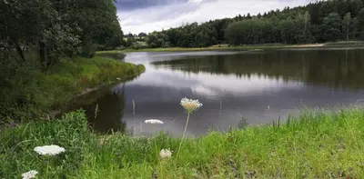 Naturlandschaft in der Nähe des Hotels