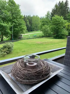 Ein Garten an der Unterkunft ferienapartment hahnenklee Apart 1