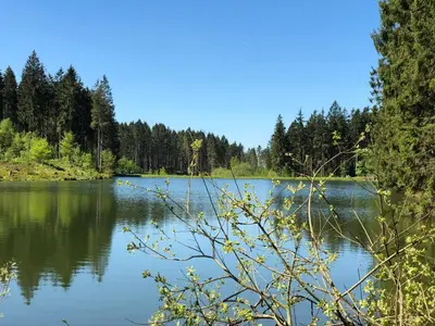 Naturlandschaft in der Nähe der Ferienwohnung