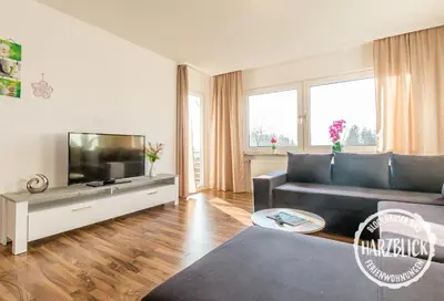TV/Unterhaltungsangebot in der Unterkunft Ferienwohnung Harzblick 2