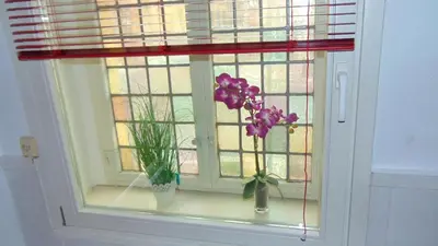 Grundriss der Unterkunft Hostel Vorharz Quedlinburg