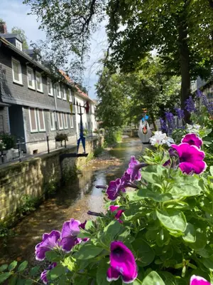 Ein Garten an der Unterkunft FeWo Georgenberg