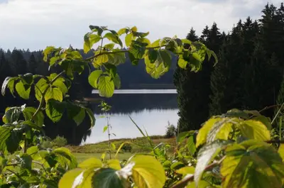 Naturlandschaft in der Nähe der Ferienwohnung