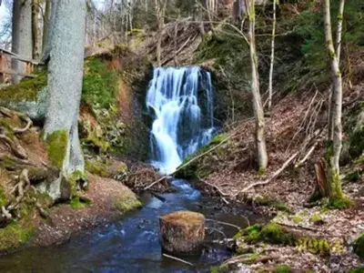 Naturlandschaft in der Nähe des Ferienhauses