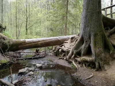 Naturlandschaft in der Nähe des Ferienhauses