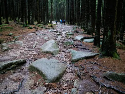Naturlandschaft in der Nähe des Ferienhauses