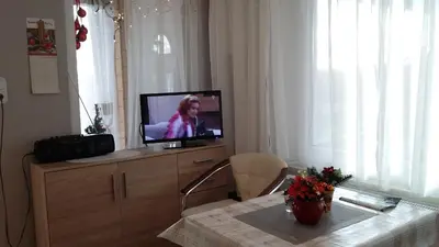 TV/Unterhaltungsangebot in der Unterkunft Ferienhaus II Heyder