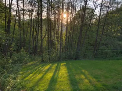 Naturlandschaft in der Nähe des Ferienhauses