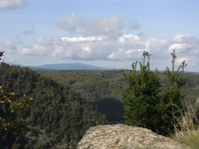 Naturlandschaft in der Nähe der Ferienwohnung