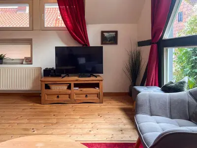 TV/Unterhaltungsangebot in der Unterkunft Harz im Glück - Fachwerkhaus für zwei in Wernigerode