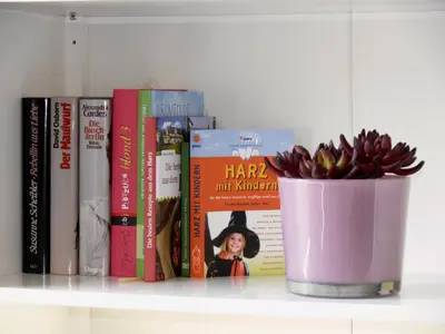 Die Bibliothek in der Ferienwohnung