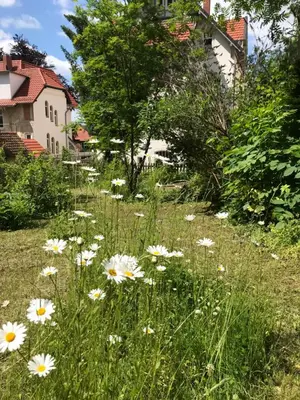 Ein Garten an der Unterkunft Villa Hanne mit Garten