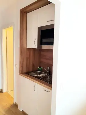 Küche/Küchenzeile in der Unterkunft Haus am See Luxury HS 948