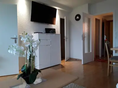 TV/Unterhaltungsangebot in der Unterkunft Apartmenthotel Hohegeiß Kasing MIT FREIEM WLAN und Schwimmbad