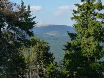 Naturlandschaft in der Nähe der Ferienwohnung