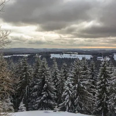 Naturlandschaft in der Nähe der Ferienwohnung