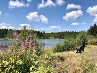 Naturlandschaft in der Nähe des Ferienhauses