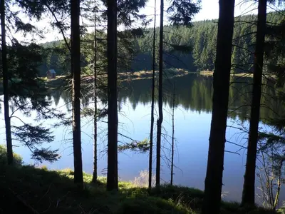 Naturlandschaft in der Nähe der Ferienwohnung