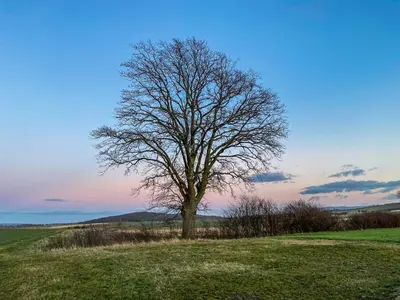 Naturlandschaft in der Nähe der Ferienwohnung