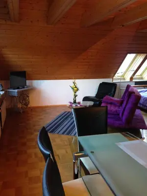 TV/Unterhaltungsangebot in der Unterkunft Ferienwohnung 'Lydia'