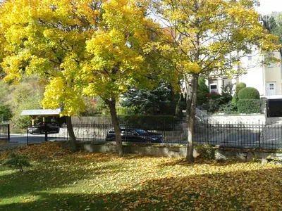 Ein Garten an der Unterkunft Pension Haus Marga
