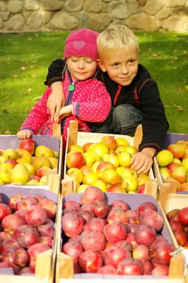 Kinder, die in der Unterkunft Harzer Feriengarten übernachten