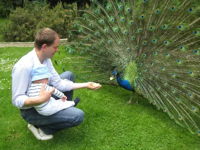 Gäste, die in der Unterkunft Harzer Feriengarten übernachten