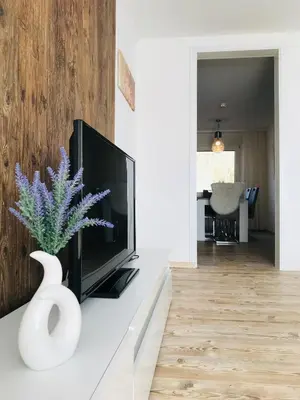 TV/Unterhaltungsangebot in der Unterkunft Ferienwohnung Harzblick 3