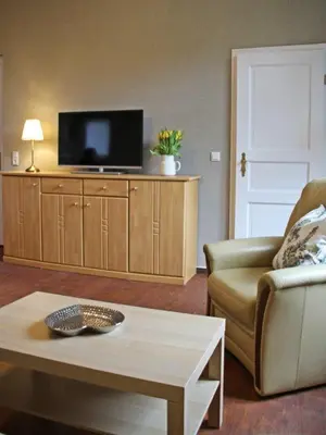 TV/Unterhaltungsangebot in der Unterkunft Ferienwohnung mit Brockenblick Ginko