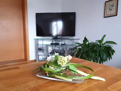 TV/Unterhaltungsangebot in der Unterkunft Ferienwohnungen Trute