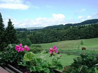 Naturlandschaft in der Nähe der Ferienwohnung