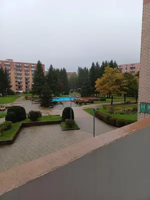 Der Swimmingpool an oder in der Nähe von Waldfee
