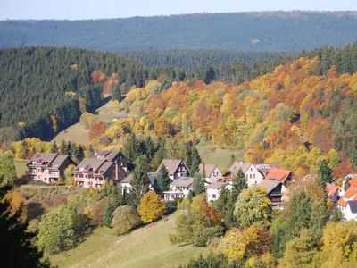Naturlandschaft in der Nähe der Ferienwohnung