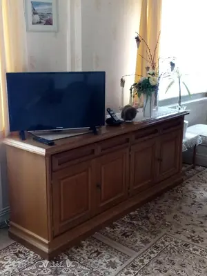 TV/Unterhaltungsangebot in der Unterkunft Haus an der Radau