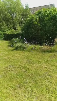 Ein Garten an der Unterkunft Haus an der Radau