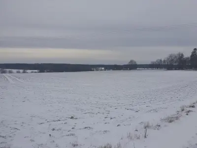 Fuchsbaude im Winter
