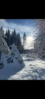 Großdorf Appartement En Vogue im Hahnenklee, Harz im Winter