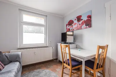 TV/Unterhaltungsangebot in der Unterkunft Schierke Ferienwohnung Hirschrudel